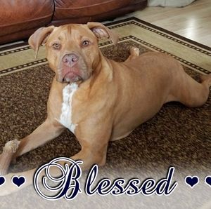 Meet your Posher, Kaylene